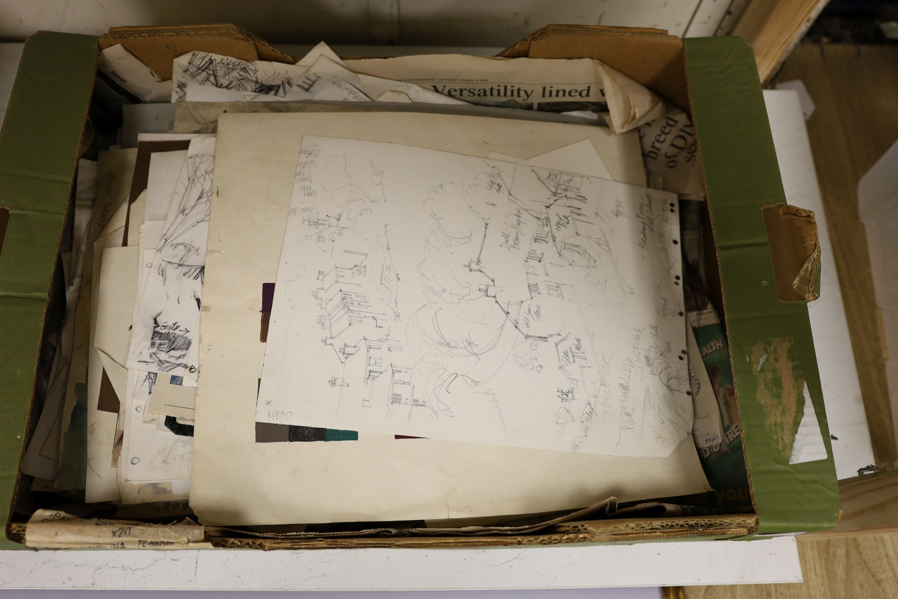 Michael Lawrence Cadman (1920-2010), small group of unframed watercolours, Botanical studies, largest 78 x 58cm